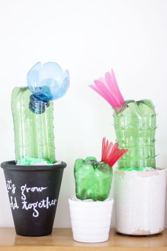 Cactus con botellas recicladas