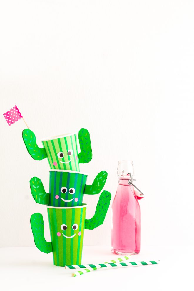 DIY vaso cactus